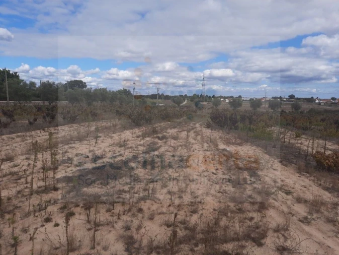 Terreno para Venda em Pinhal Novo Foto 3