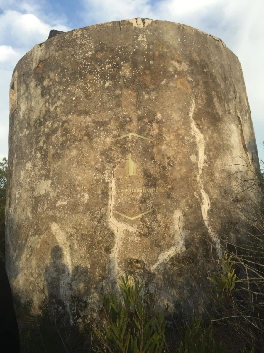 Moradia T1 para Venda em Santiago dos Velhos Foto 3