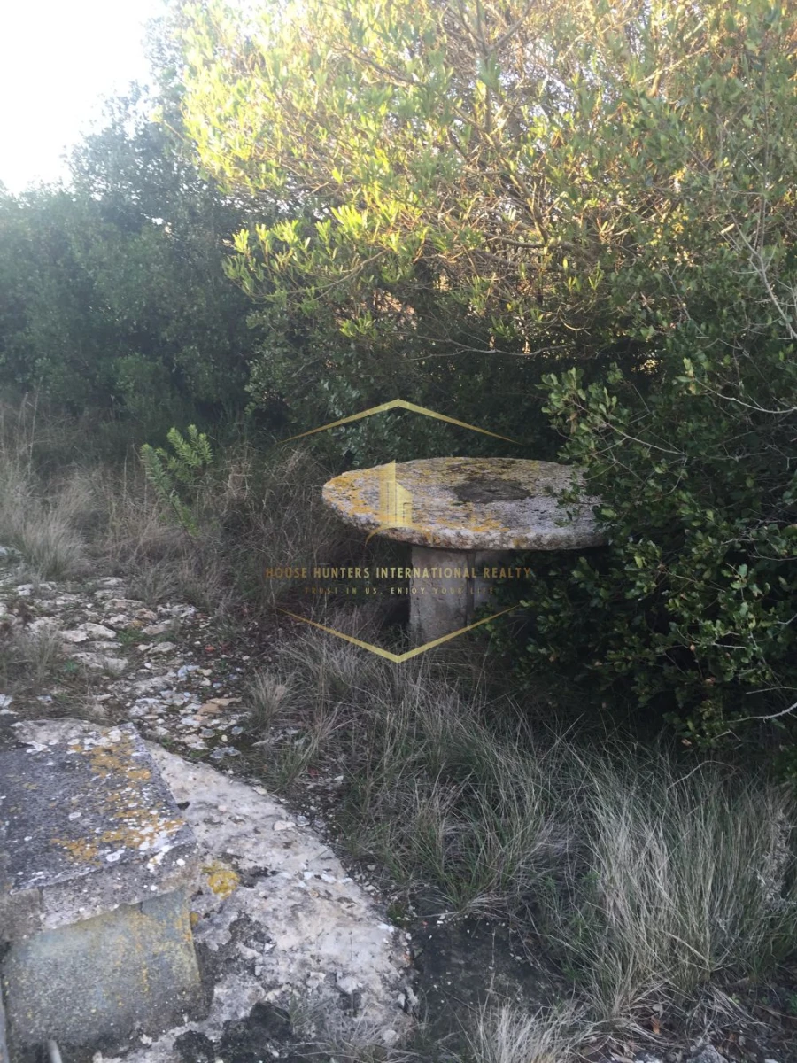 Moradia T1 para Venda em Santiago dos Velhos Foto 2