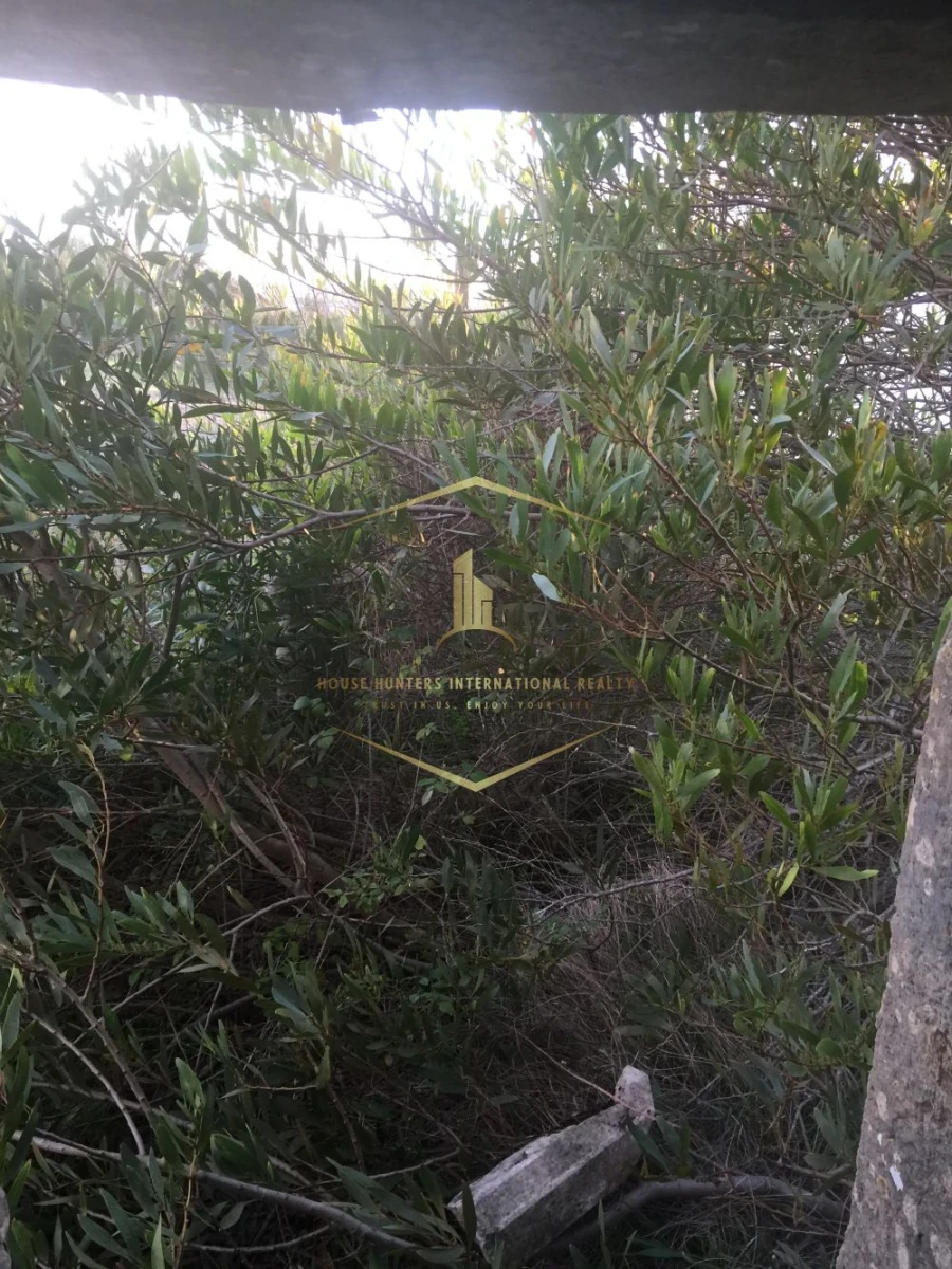 Moradia T1 para Venda em Santiago dos Velhos Foto 4