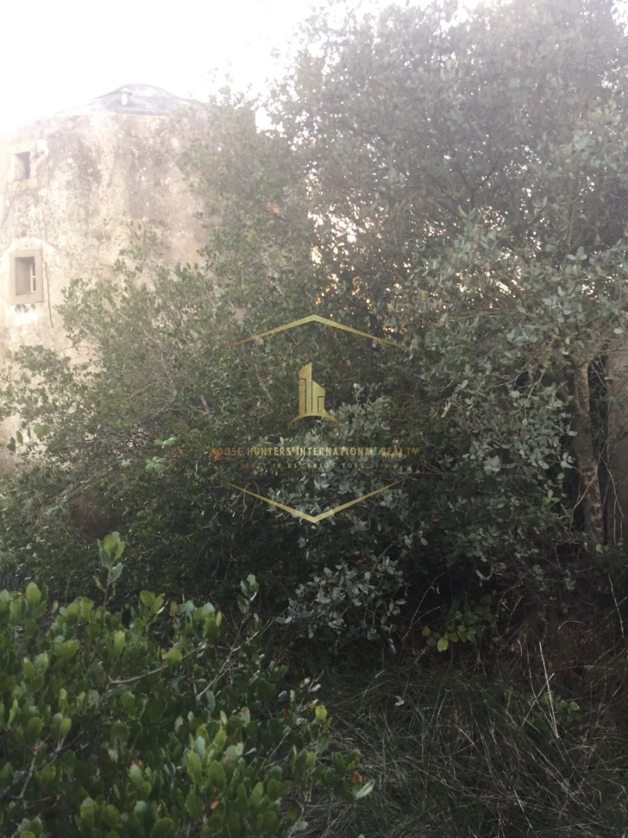 Moradia T1 para Venda em Santiago dos Velhos Foto 5