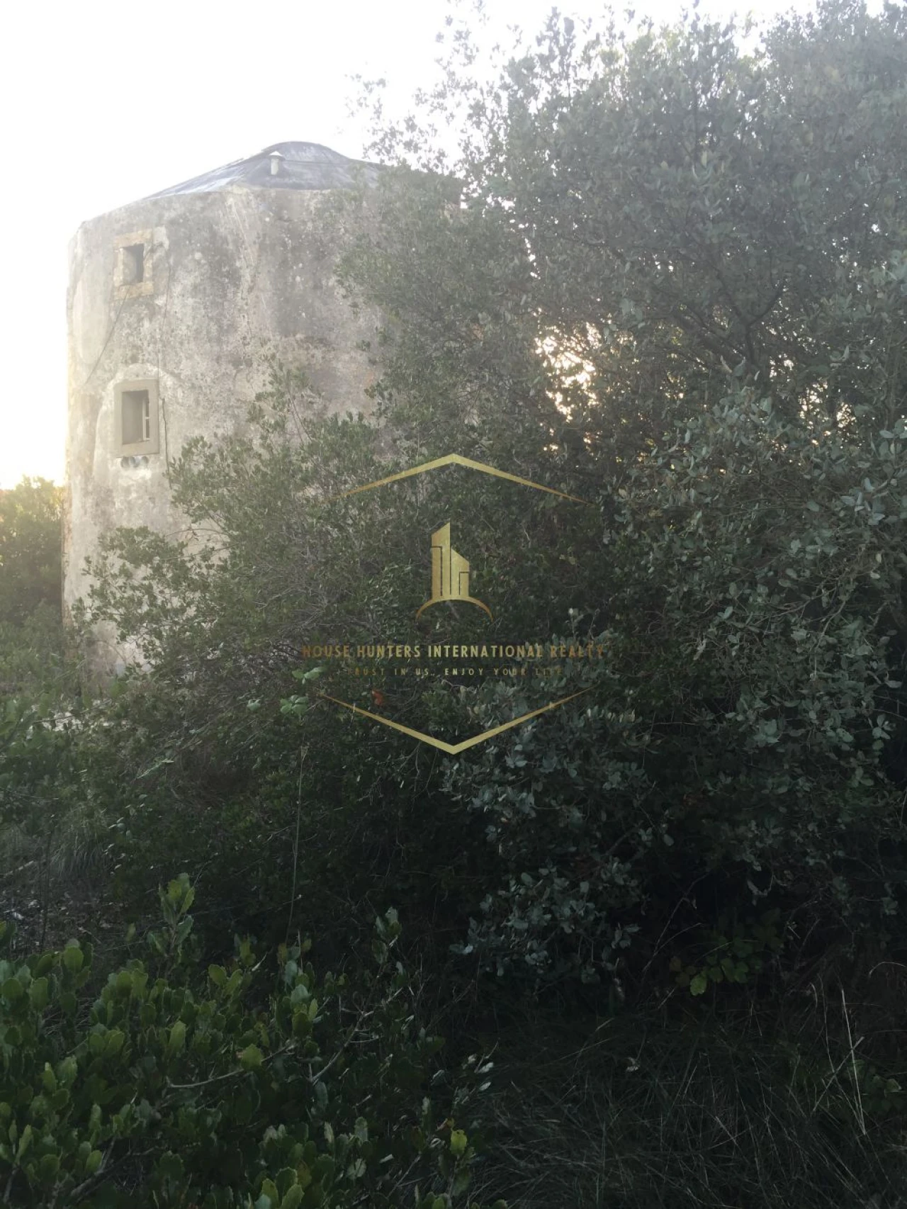 Moradia T1 para Venda em Santiago dos Velhos Foto 6