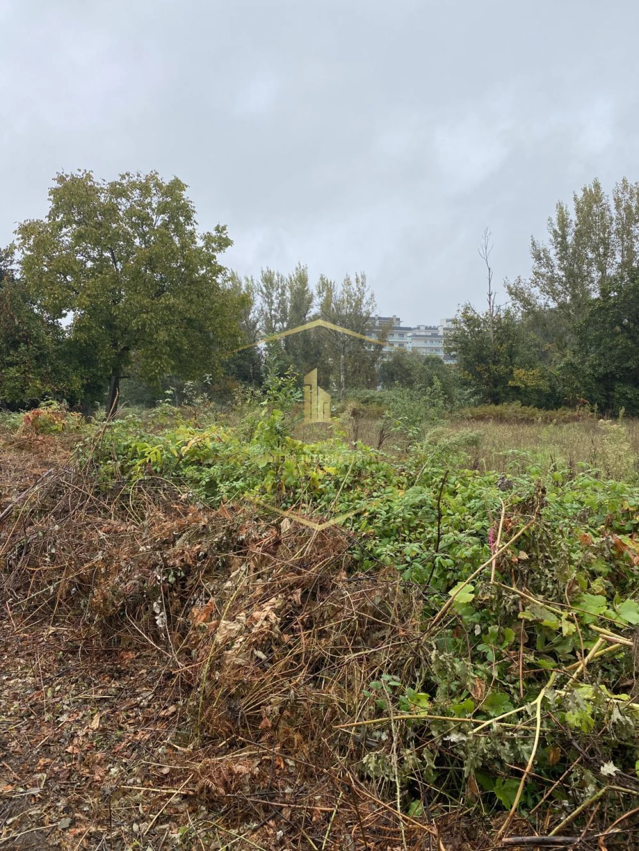 Terreno para Venda em Paredes Foto 4