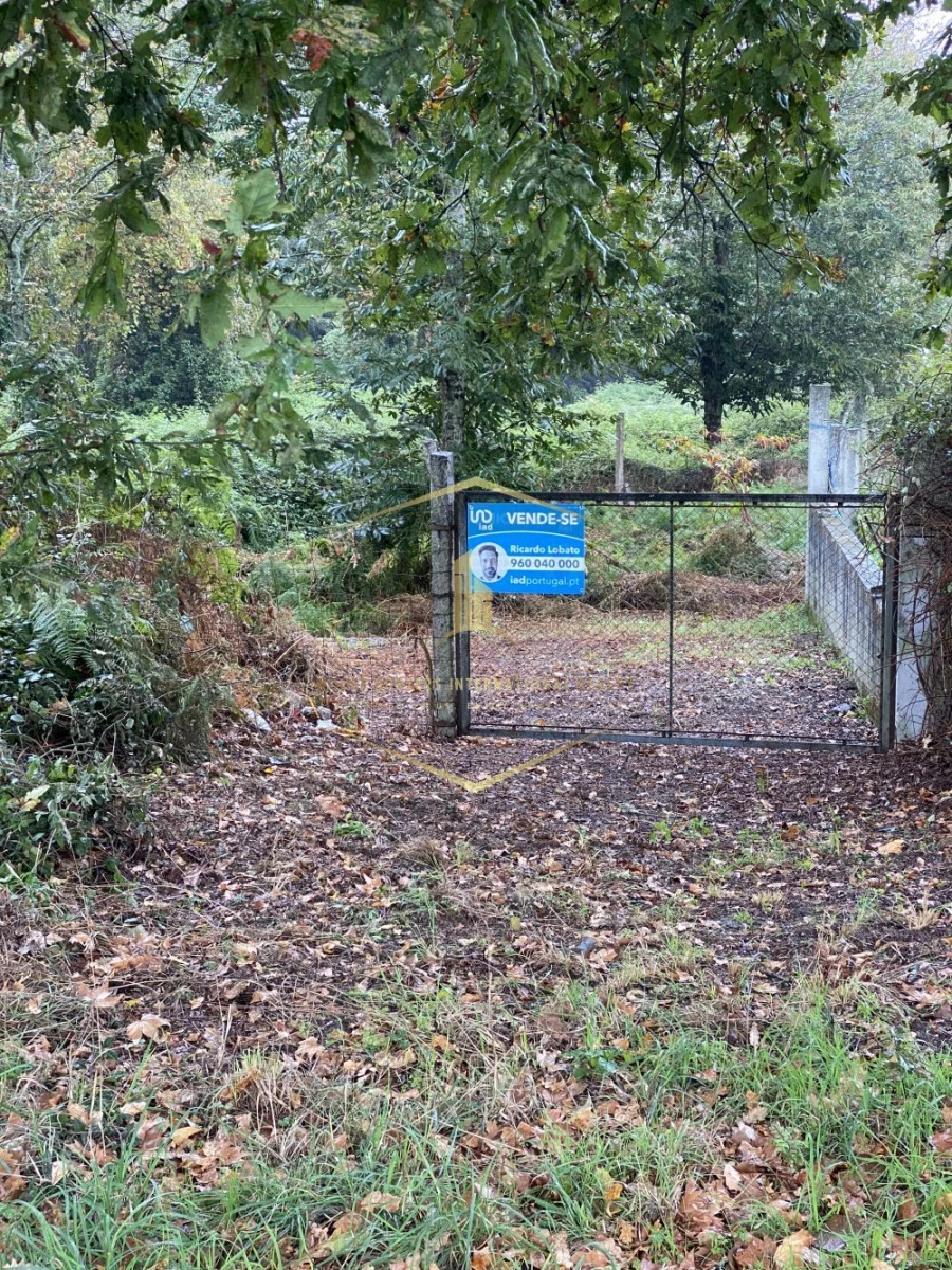 Terreno para Venda em Paredes Foto 11