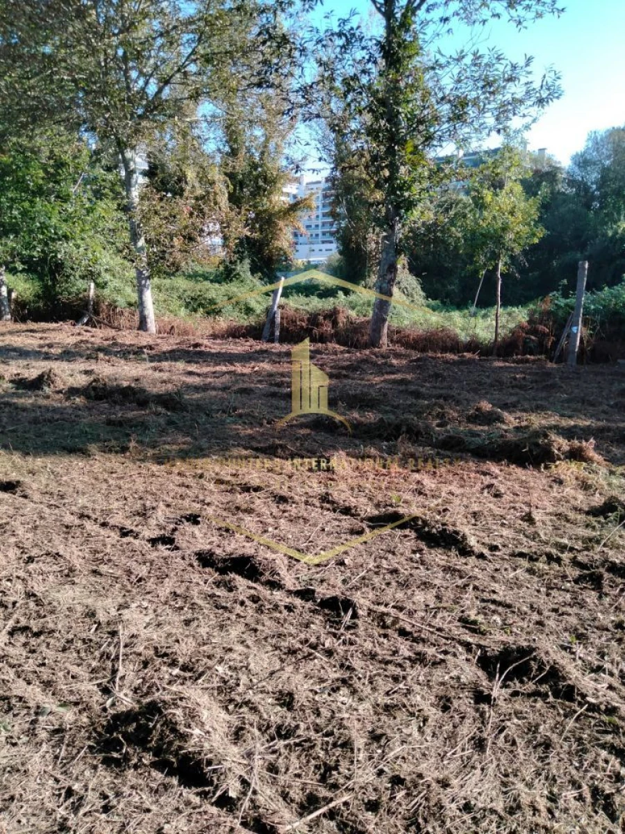 Terreno para Venda em Paredes Foto 16