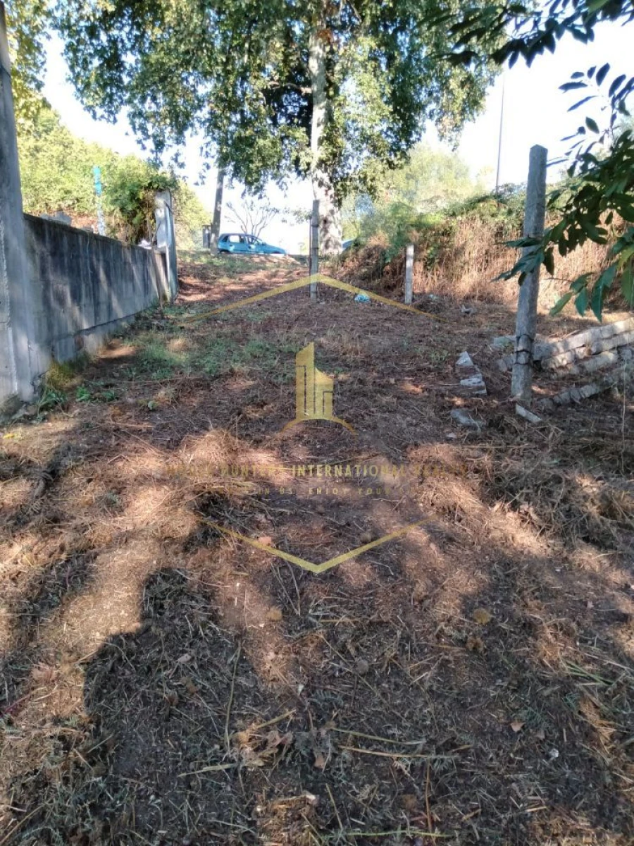 Terreno para Venda em Paredes Foto 17