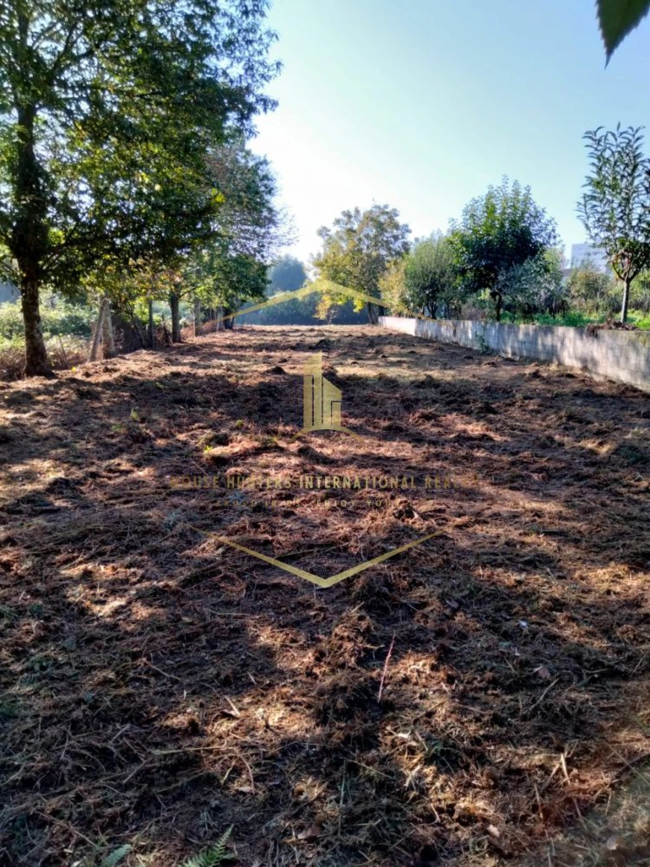 Terreno para Venda em Paredes Foto 18