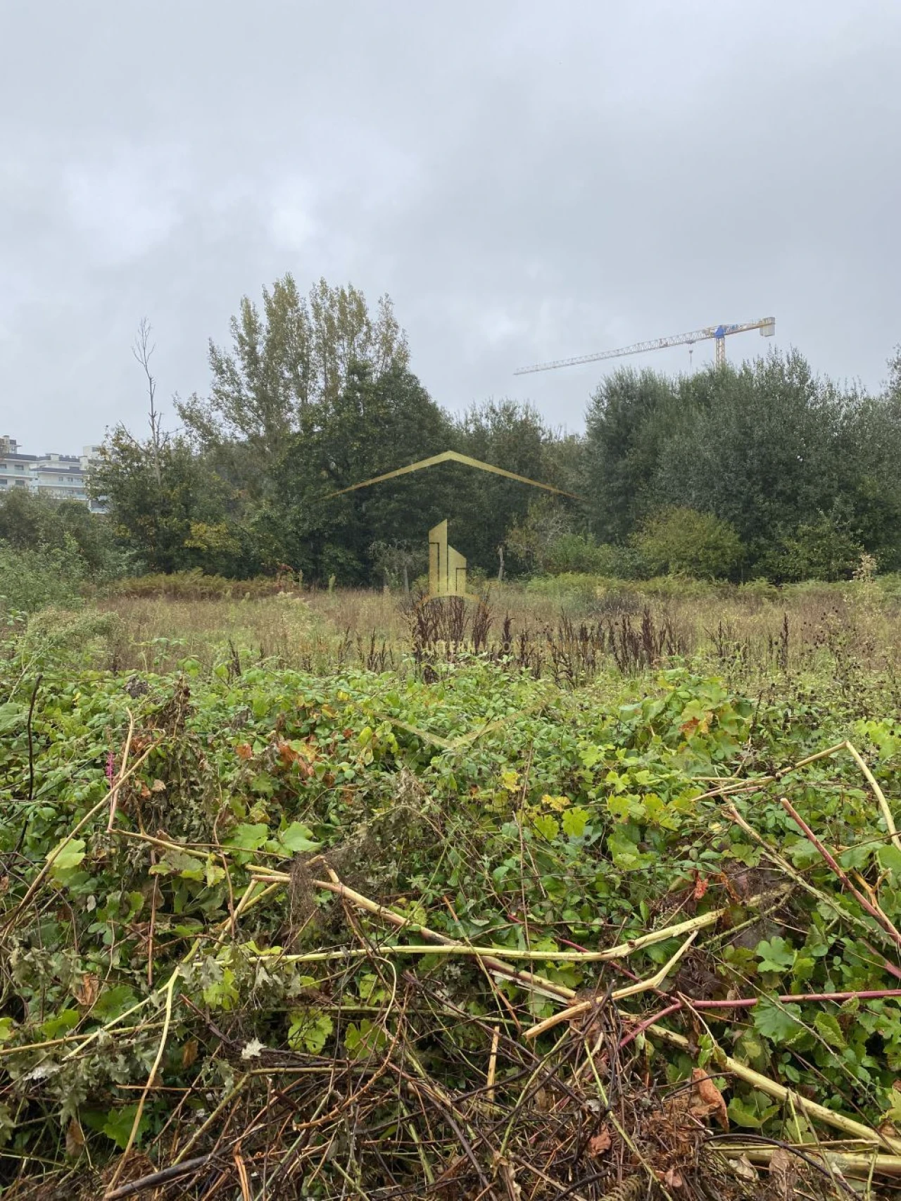 Terreno para Venda em Paredes Foto 5