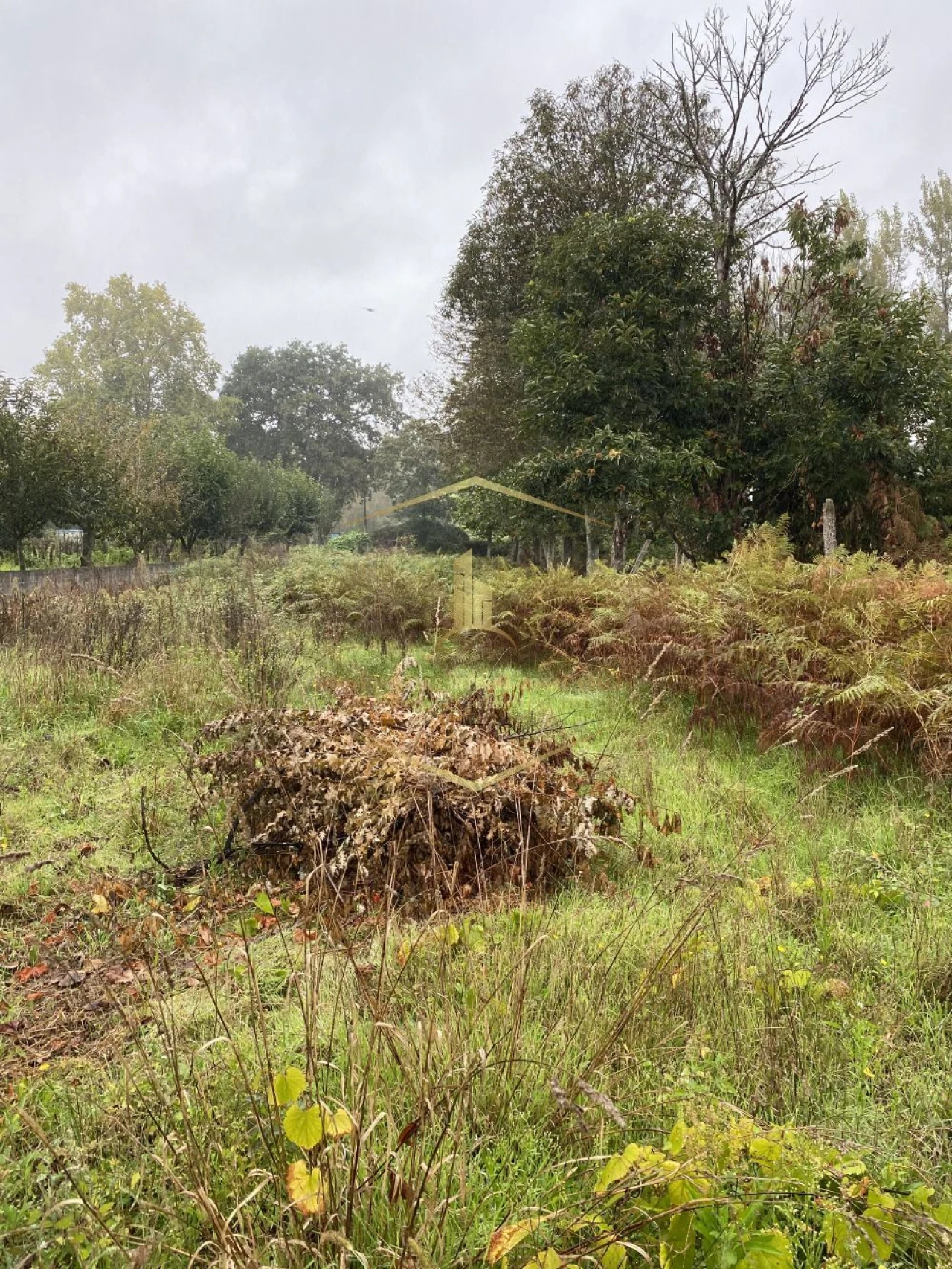 Terreno para Venda em Paredes Foto 10