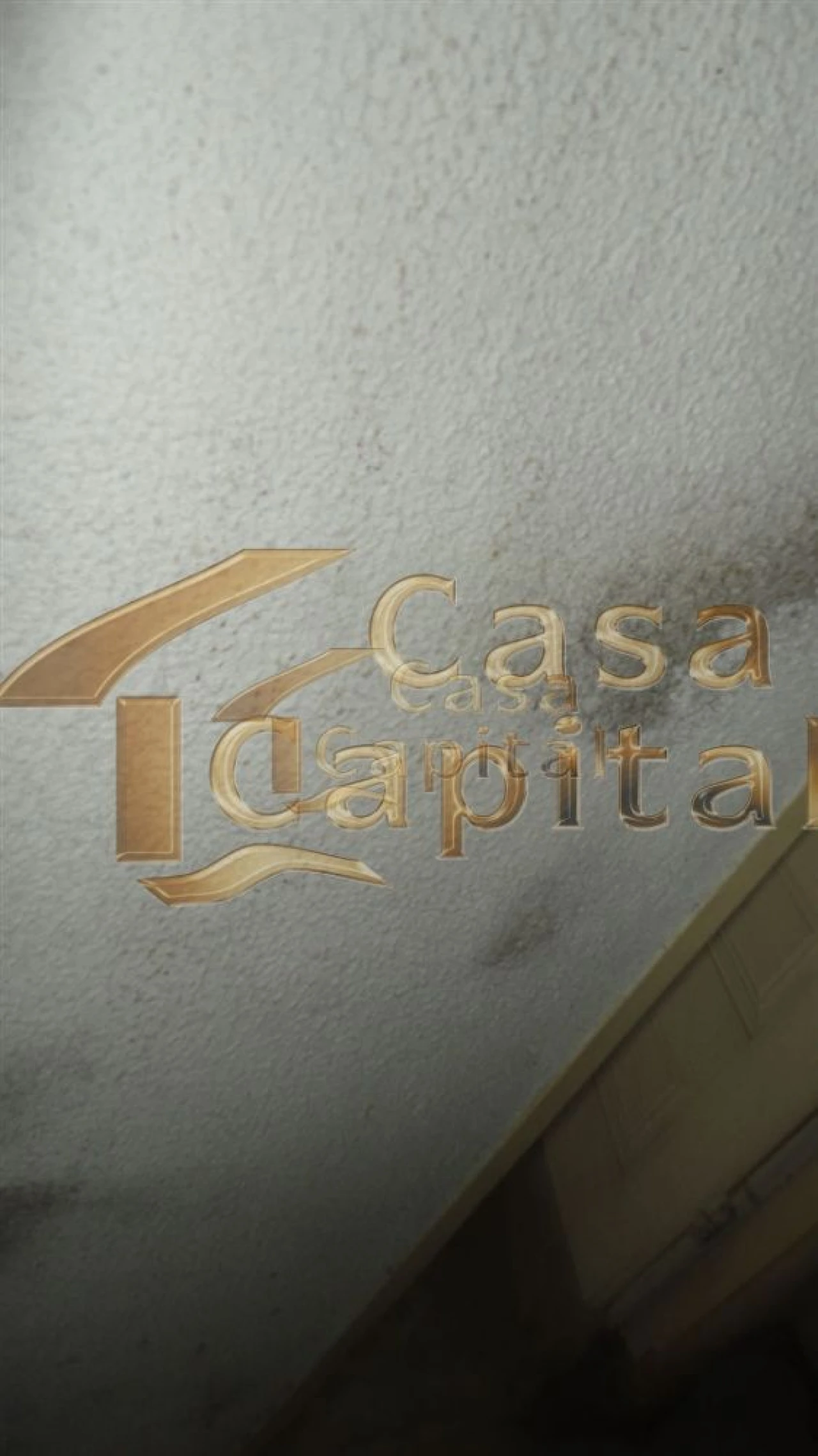 Moradia T5 para Venda em São Martinho de Antas e Paradela de Guiães Foto 64