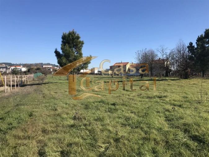 Terreno para Venda em São Martinho de Antas e Paradela de Guiães Foto 11