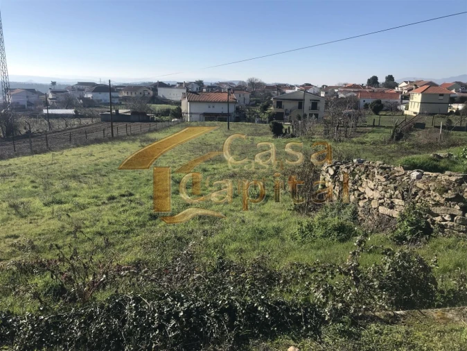 Terreno para Venda em São Martinho de Antas e Paradela de Guiães Foto 5