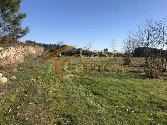 Terreno para Venda em São Martinho de Antas e Paradela de Guiães Foto 5