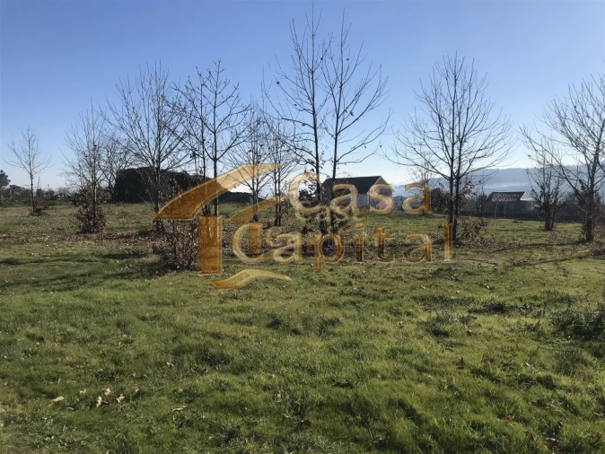 Terreno para Venda em São Martinho de Antas e Paradela de Guiães Foto 6