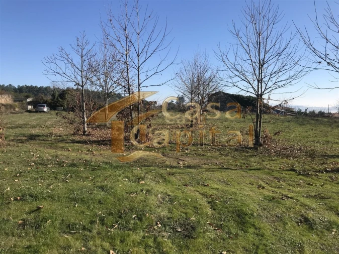 Terreno para Venda em São Martinho de Antas e Paradela de Guiães Foto 8