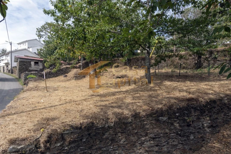 Terreno para Venda em Torgueda