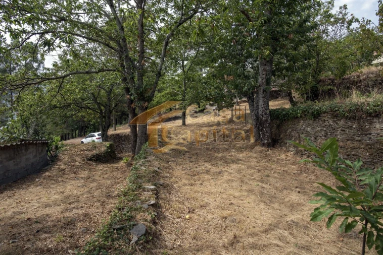 Terreno para Venda em Torgueda Foto 6