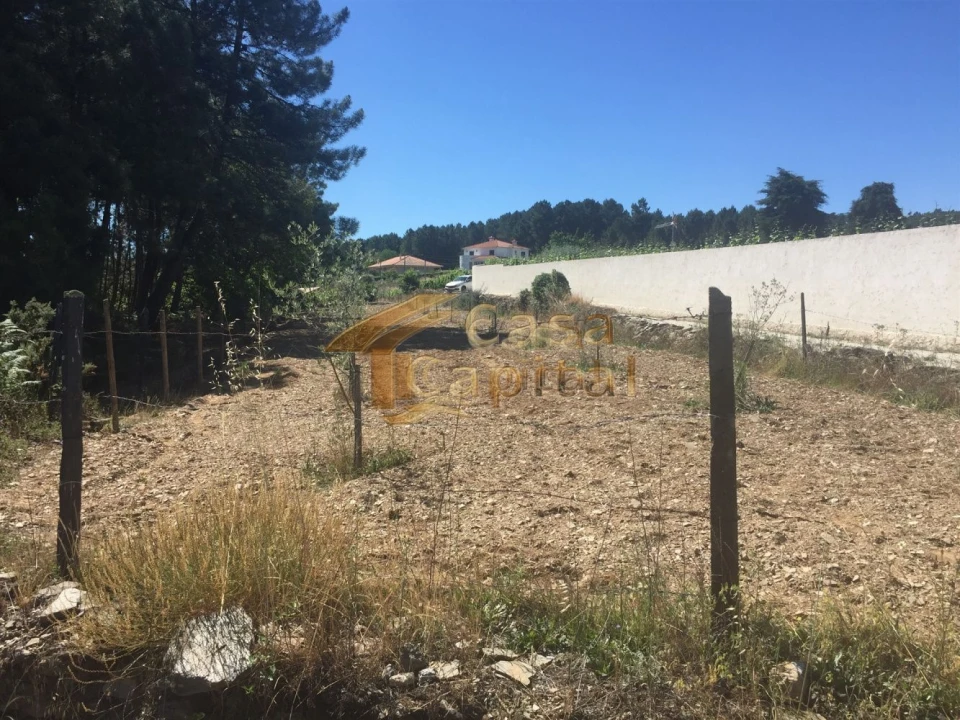 Terreno para Venda em Paços Foto 4