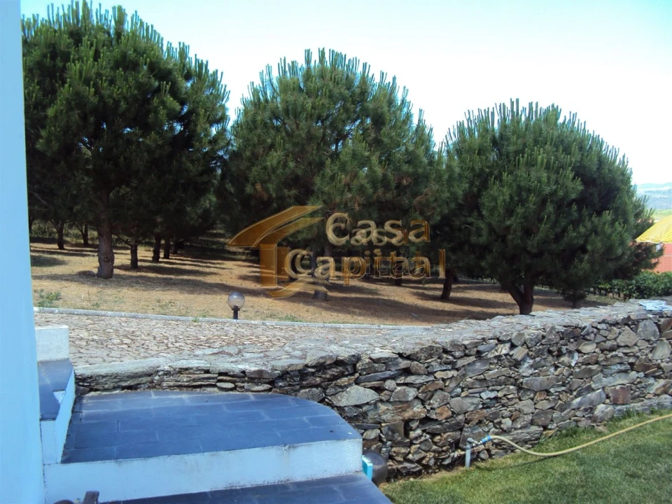 Quinta T10 para Venda em Ervedosa do Douro Foto 18