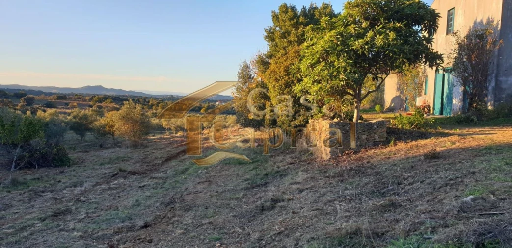 Quinta T0 para Venda em Touça Foto 20