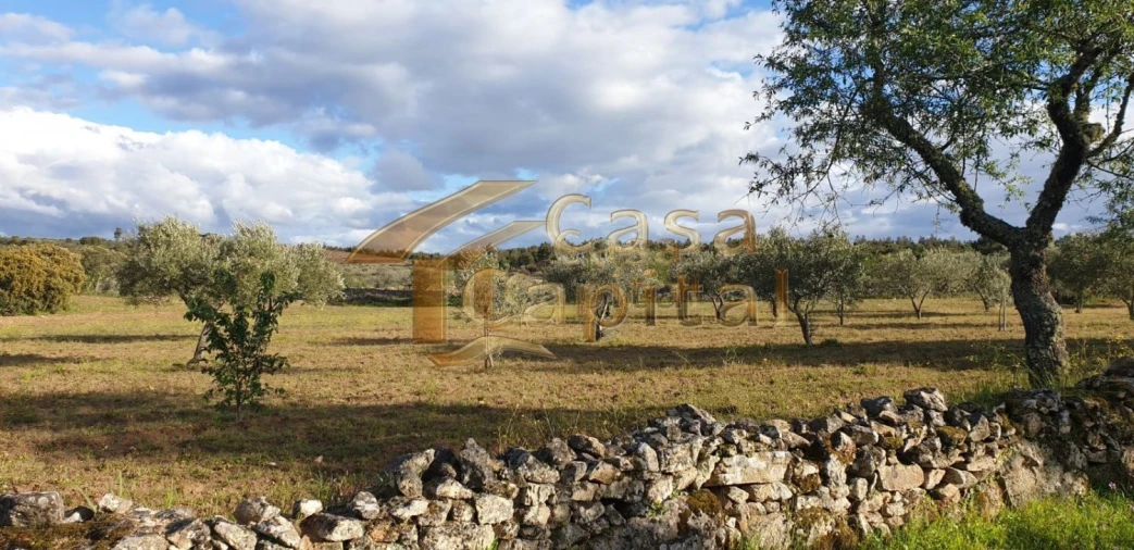 Quinta T0 para Venda em Touça Foto 24