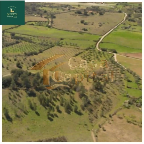 Quinta T0 para Venda em Touça Foto 3