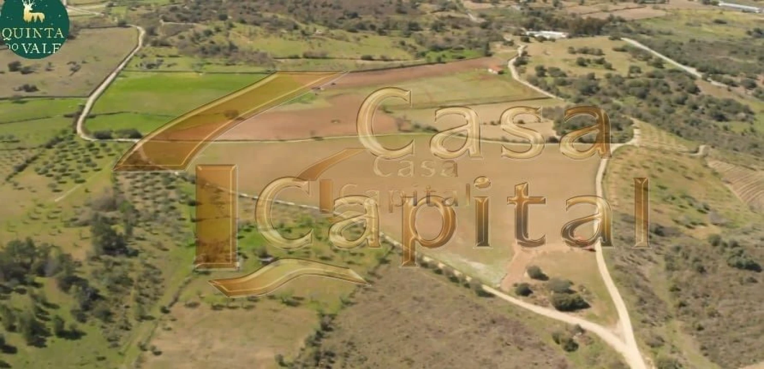 Quinta T0 para Venda em Touça Foto 1