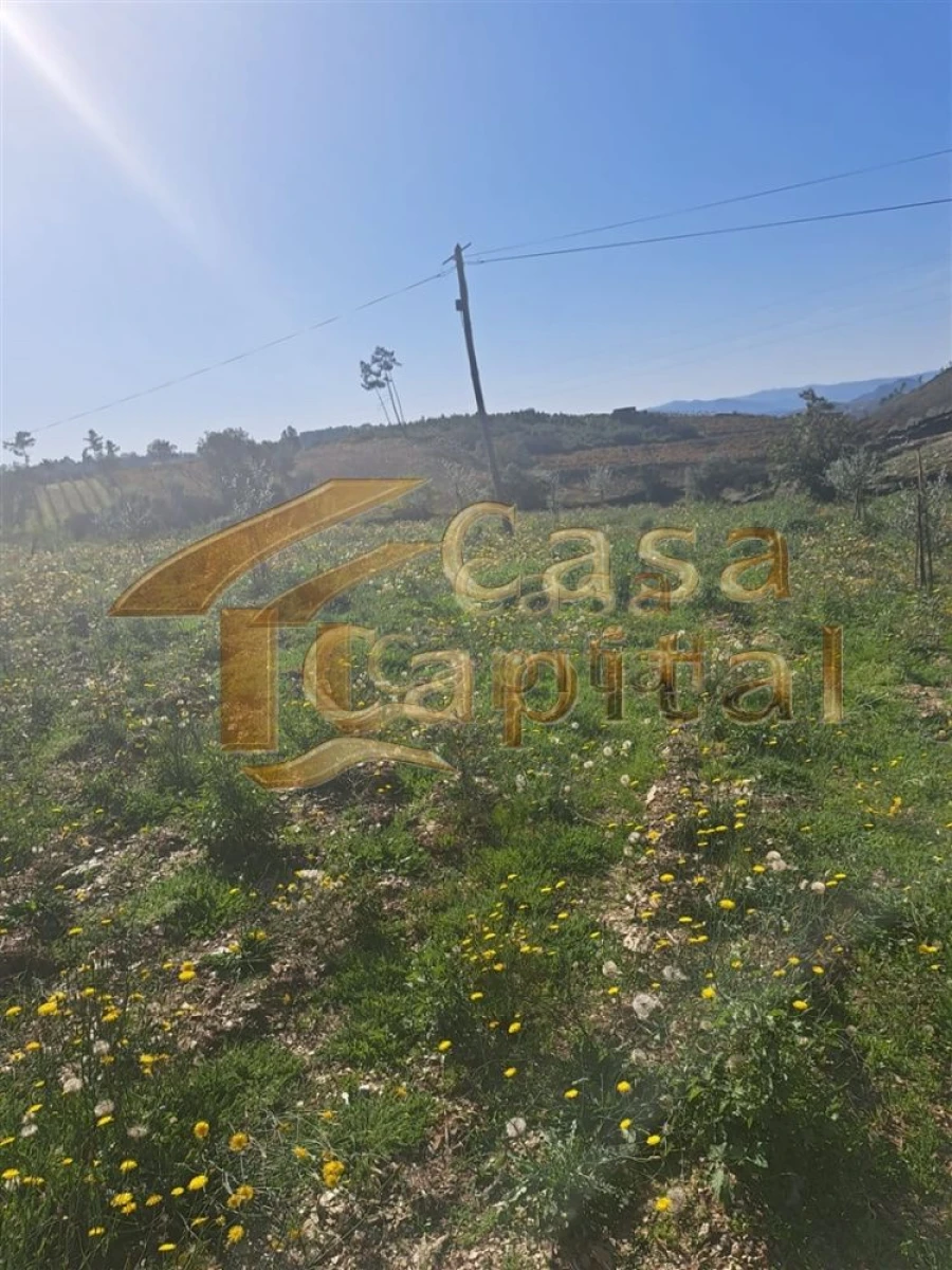 Quinta T0 para Venda em Andrães Foto 17