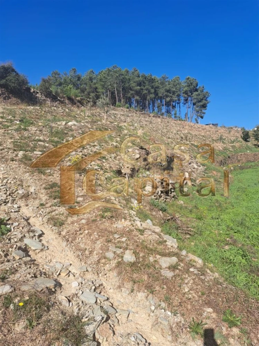 Quinta T0 para Venda em Andrães Foto 10