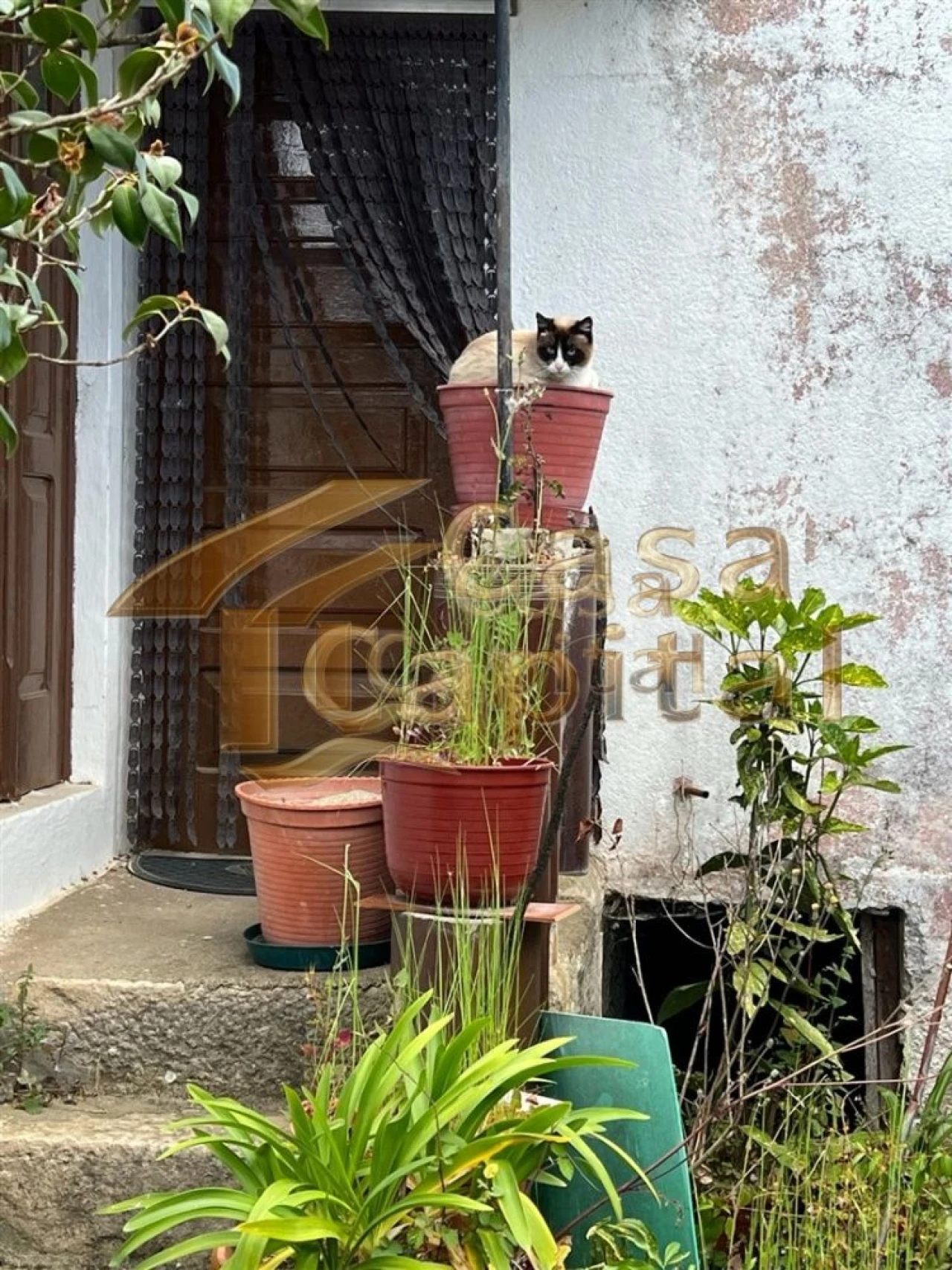 Moradia T2 para Venda em Favaios Foto 6