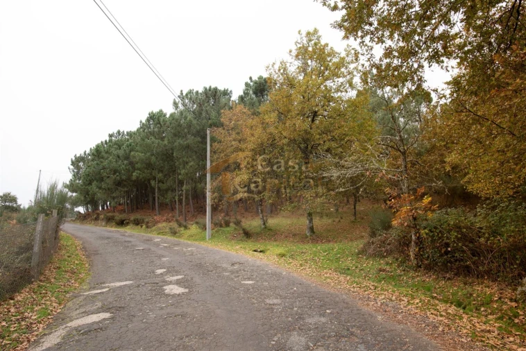 Terreno para Venda em Mondrões Foto 3