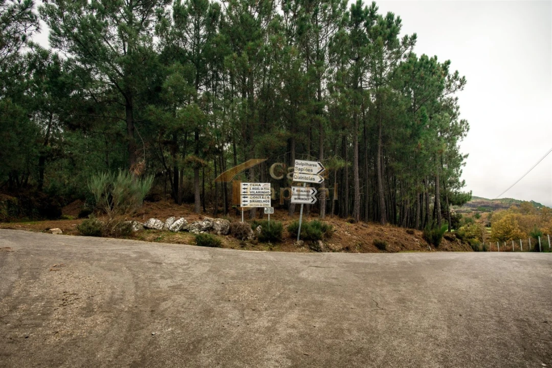 Terreno para Venda em Mondrões Foto 2