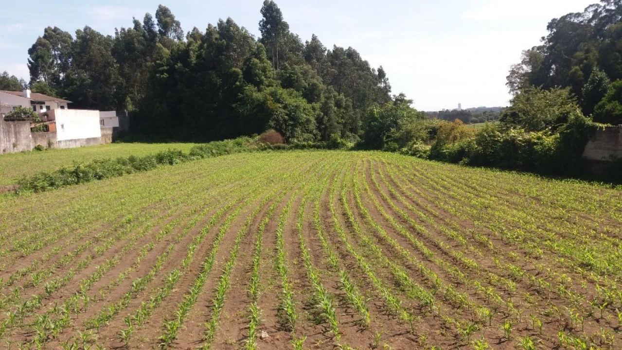 Terreno para Venda em Castêlo da Maia Foto 1