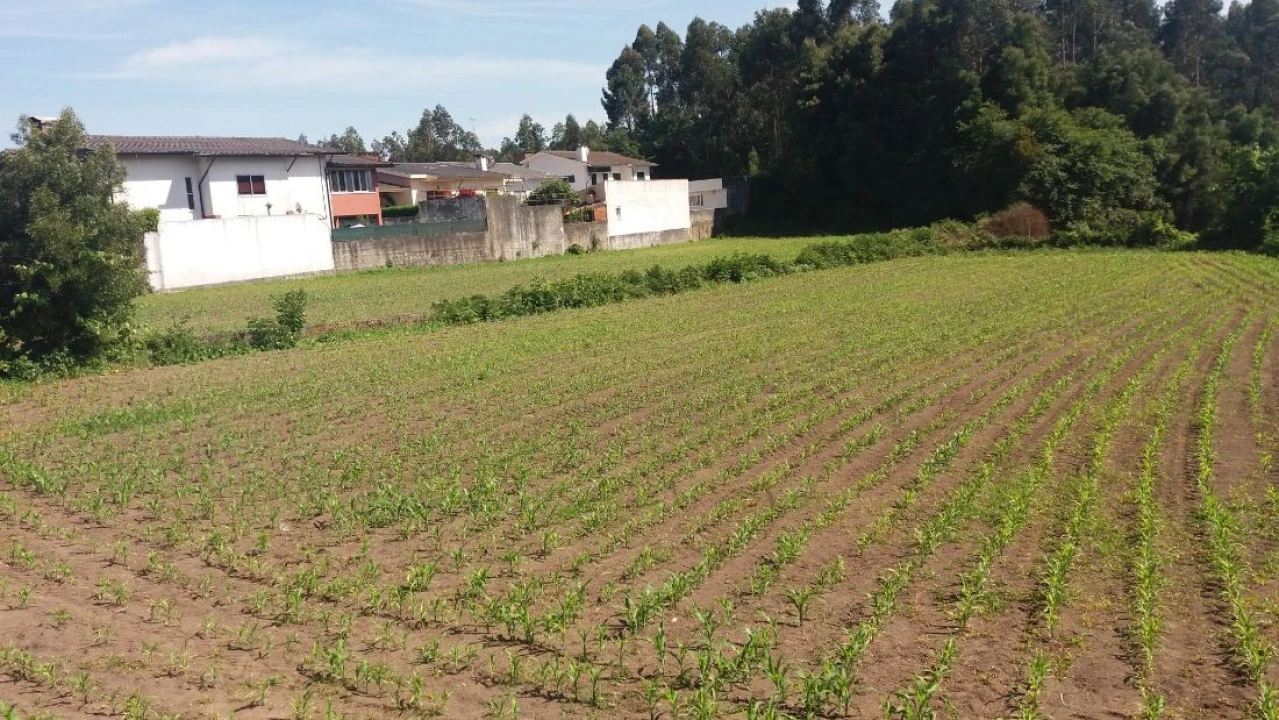 Terreno para Venda em Castêlo da Maia Foto 2