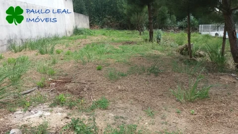Terreno para Venda em Alfena