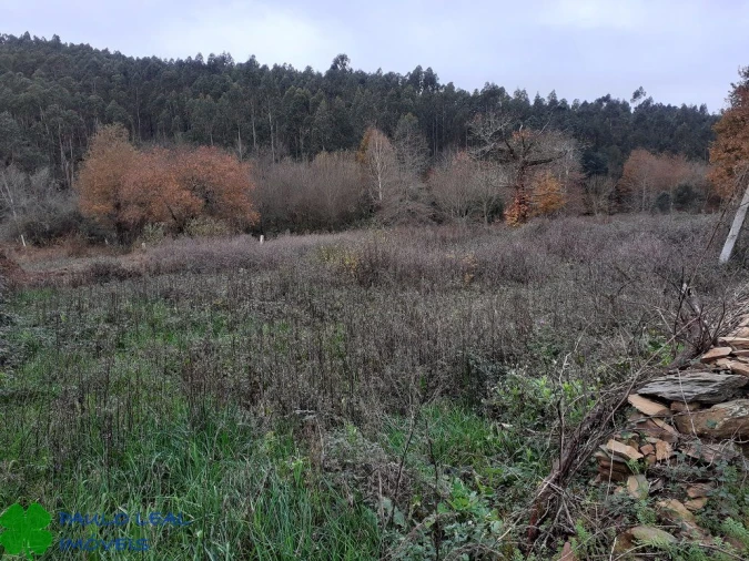 Terreno para Venda em Alfena Foto 3