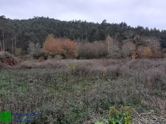 Terreno para Venda em Alfena Foto 2