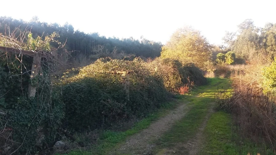 Terreno para Venda em Alfena