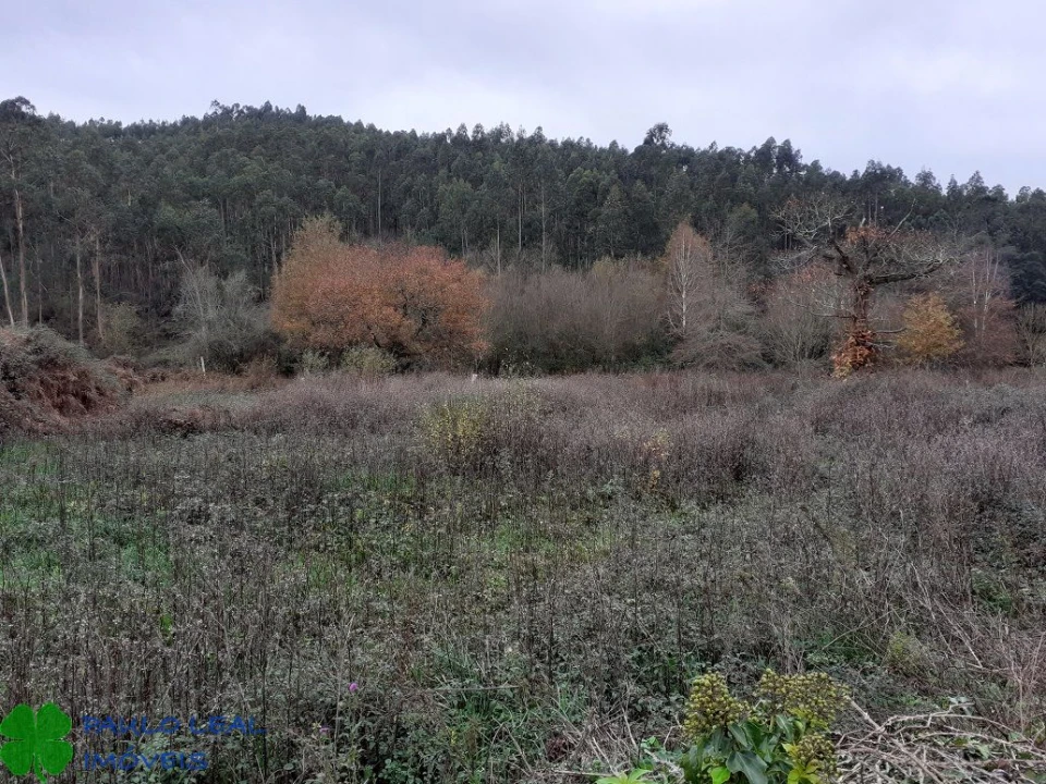 Terreno para Venda em Alfena Foto 2
