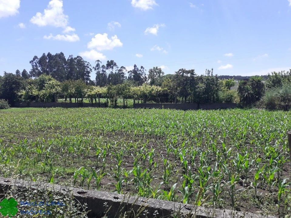 Terreno para Venda em Castêlo da Maia Foto 2