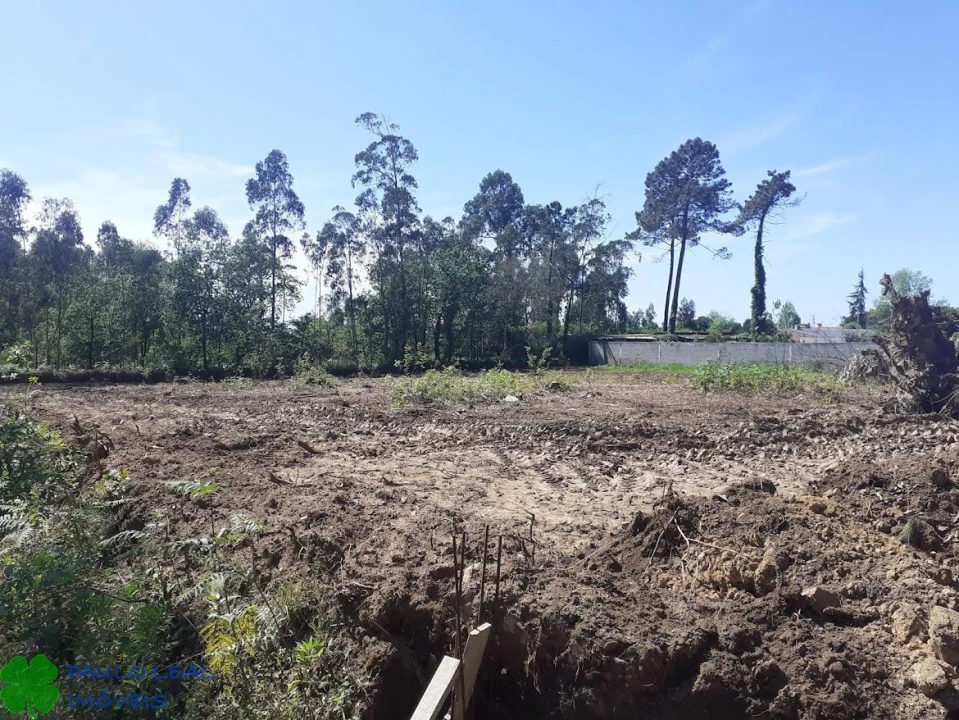 Terreno para Venda em Vilar e Mosteiró Foto 1