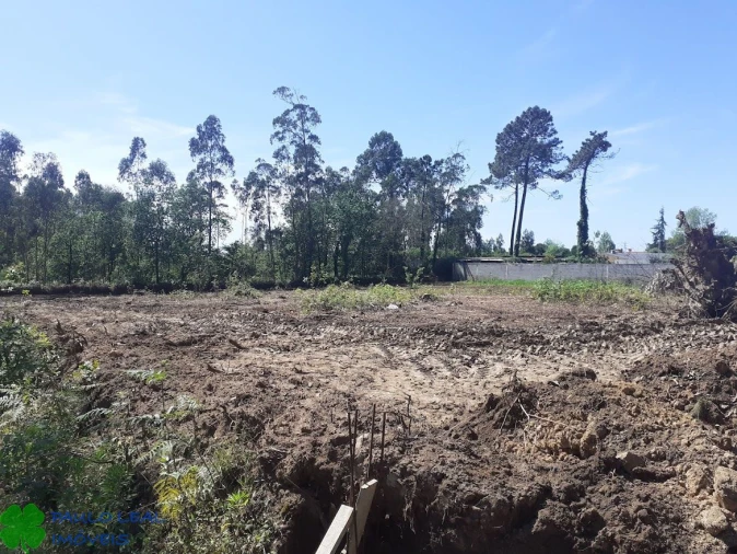 Terreno para Venda em Vilar e Mosteiró Foto 1