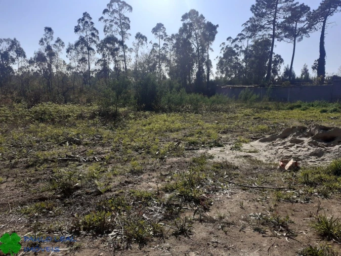 Terreno para Venda em Vilar e Mosteiró Foto 3