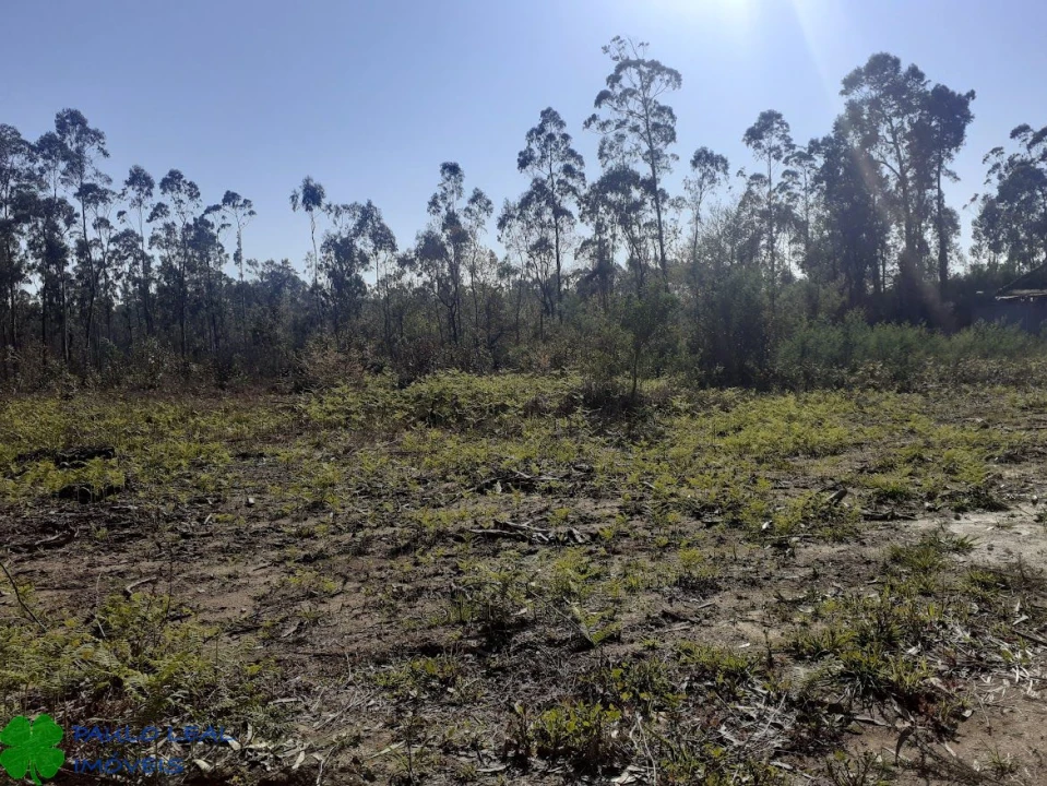 Terreno para Venda em Vilar e Mosteiró Foto 2