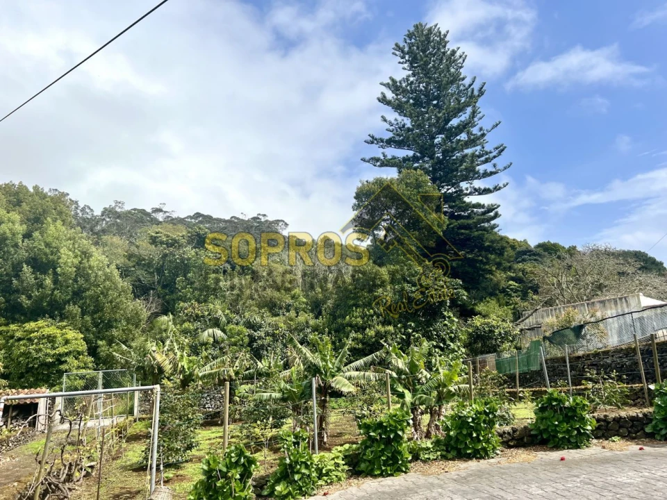 Moradia T3 para Venda em Angra (São Pedro) Foto 24