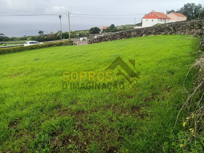 Terreno para Venda em Doze Ribeiras Foto 5