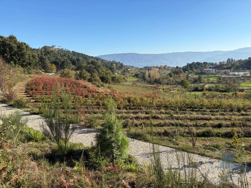 Quinta T5 para Venda em Gestaço Foto 23