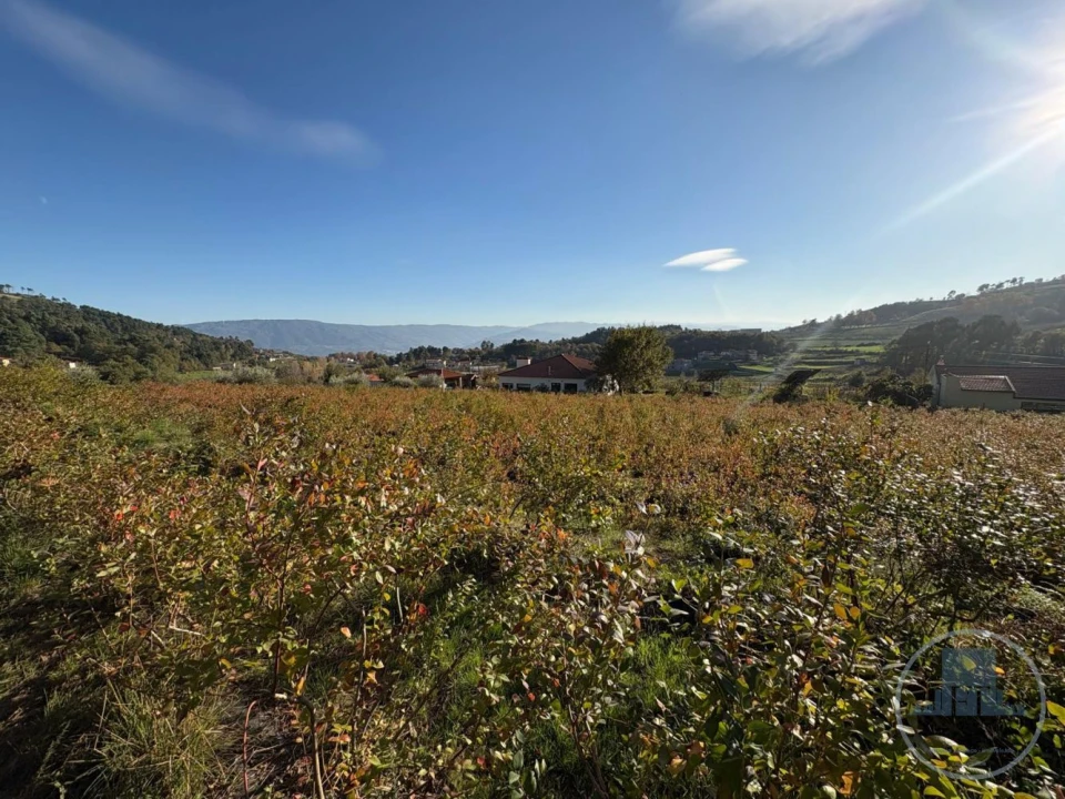 Quinta T5 para Venda em Gestaço Foto 22