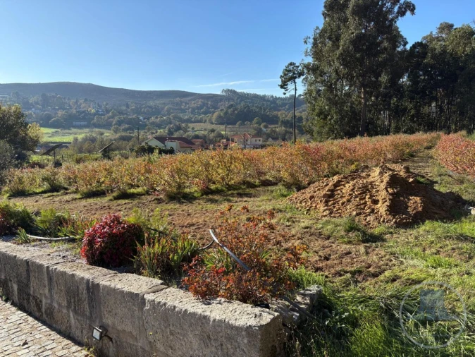 Quinta T5 para Venda em Gestaço Foto 18