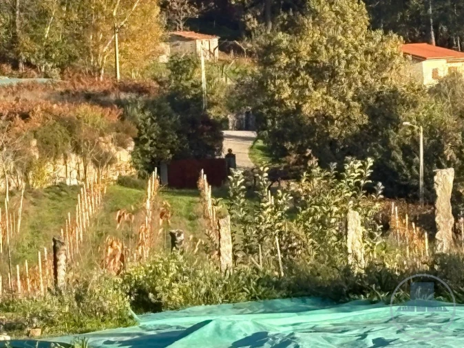 Quinta T5 para Venda em Gestaço Foto 16